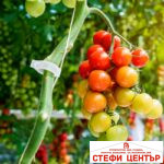 Щипка за поддържане на домати - Image 2