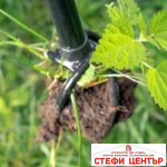 Инструмент за премахване на плевели TORNADICA Weed Puller - Image 4