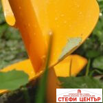 Инструмент за пробиване и сондиране TORNADICA Drill Profi - Image 8