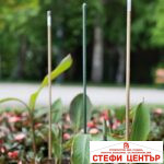 Стоманено колче за растения с ПВЦ покритие - Image 2