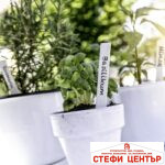 Пластмасови табелки за цветя и растения с включен молив - Image 2