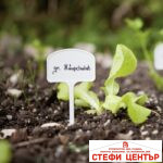 Пластмасови табелки за цветя и растения - Image 2