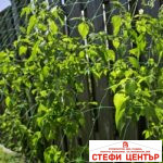 Поддържаща мрежа 150мм - Image 3