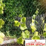 Поддържаща мрежа 50мм - Image 3