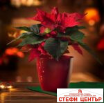 Саксия тип кашпа Ella matt 21 - Image 2