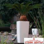 Саксия Quadrato tall 22 с патентована напоителна система и дренаж - Image 2