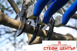 b_a2___double_cut_pruning_shears_size_s__1_3________-20241111133920-578 Овощарска ножица Vesco A2 с пресрещащи се двойно режещи остриета - Image 5