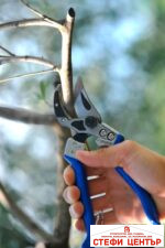 Лозаро-овощарска ножица Vesco A6 с гилотинно рязане - Image 4