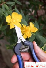 Ножица за бране и почистване Vesco B3 с извити остриета - Image 5