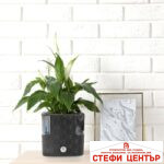 Саксия за билки Cobble 14 с напоителна система - Image 8