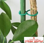 PVC скоби за растения - Image 2