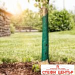 Предпазна лента за дръвчета - Image 2