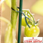 Поцинкована тел за закрепване с PVC покритие 100м - Image 2