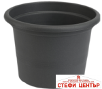 Саксия Campanula 40 - Image 8