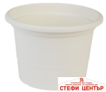 Саксия Campanula 40 - Image 11