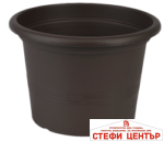 Саксия Campanula 23 - Image 12