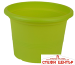 Саксия Campanula 23 - Image 9