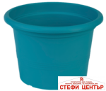 Саксия Campanula 23 - Image 13