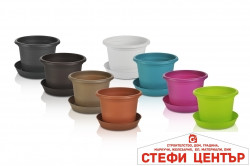 b_campanula__primavera_all_colors_varianty-20190513160513-888 Саксия Campanula 23 - Image 14