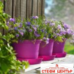 Подложка за Campanula 17 - Image 2