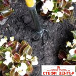 Ръчен култиватор TORNADICA Mini - Image 2