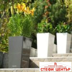 Саксия ELISE matt 20 - Image 2