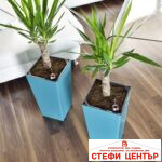 Саксия ELISE matt 30 - Image 7