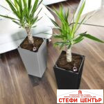 Саксия ELISE matt 20 - Image 9