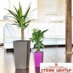 Саксия ELISE matt 20 - Image 7