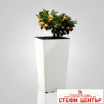 Саксия ELISE matt 30 - Image 2