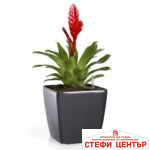 Саксия Quadrato 25 с патентована напоителна система и дренаж - Image 7