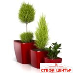 Саксия Quadrato 22 с патентована напоителна система и дренаж - Image 3