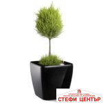 Саксия Quadrato 22 с патентована напоителна система и дренаж - Image 6