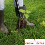 Инструмент за премахване на плевели TORNADICA Weed Puller - Image 5