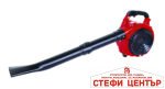 Листосъбирач бензинов 750W 30L RAIDER RD-GBV05