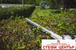 R20 Коса безчеткова с нож и корда 40V 4в1 RAIDER PRO RDP-BCPSHT20 - Image 18